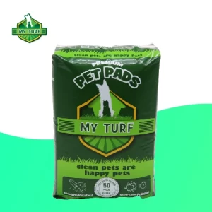 Asian Size 25/50/100 Pcs