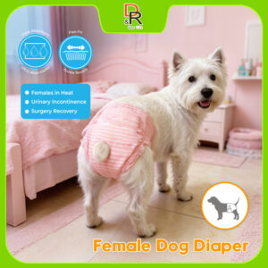 Female Dog Diaper