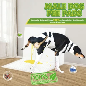 Male Dog Pad