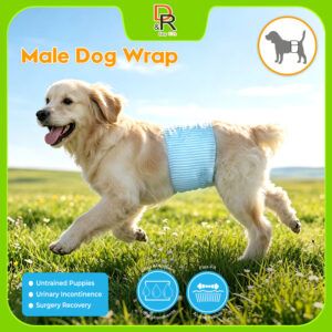 Male Dog Wrap