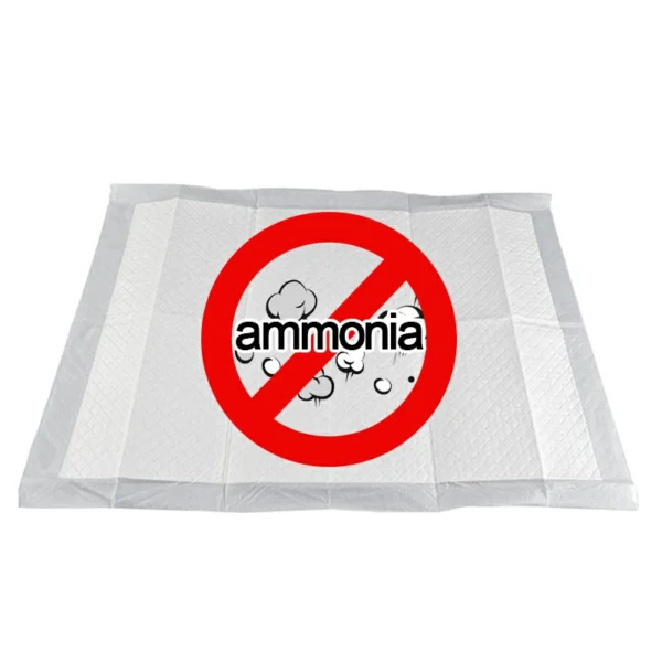 Disposable odor absorbing pad with leak-proof design
