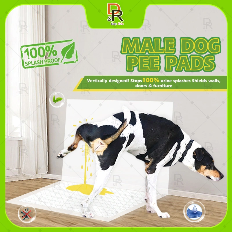 Male Dog Pad