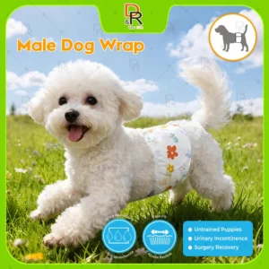 Male Dog Wrap