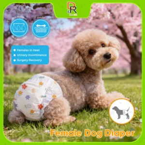 Female Dog Diaper