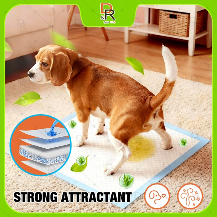 Attractant Pad