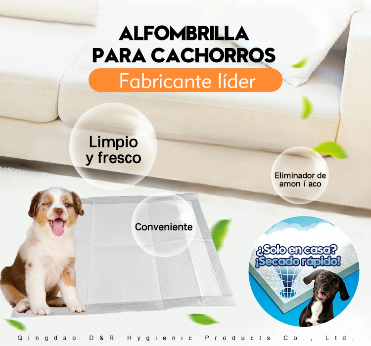 Almohadilla de respaldo inferior antideslizante
